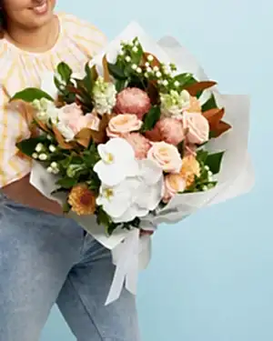 Coral Cutie