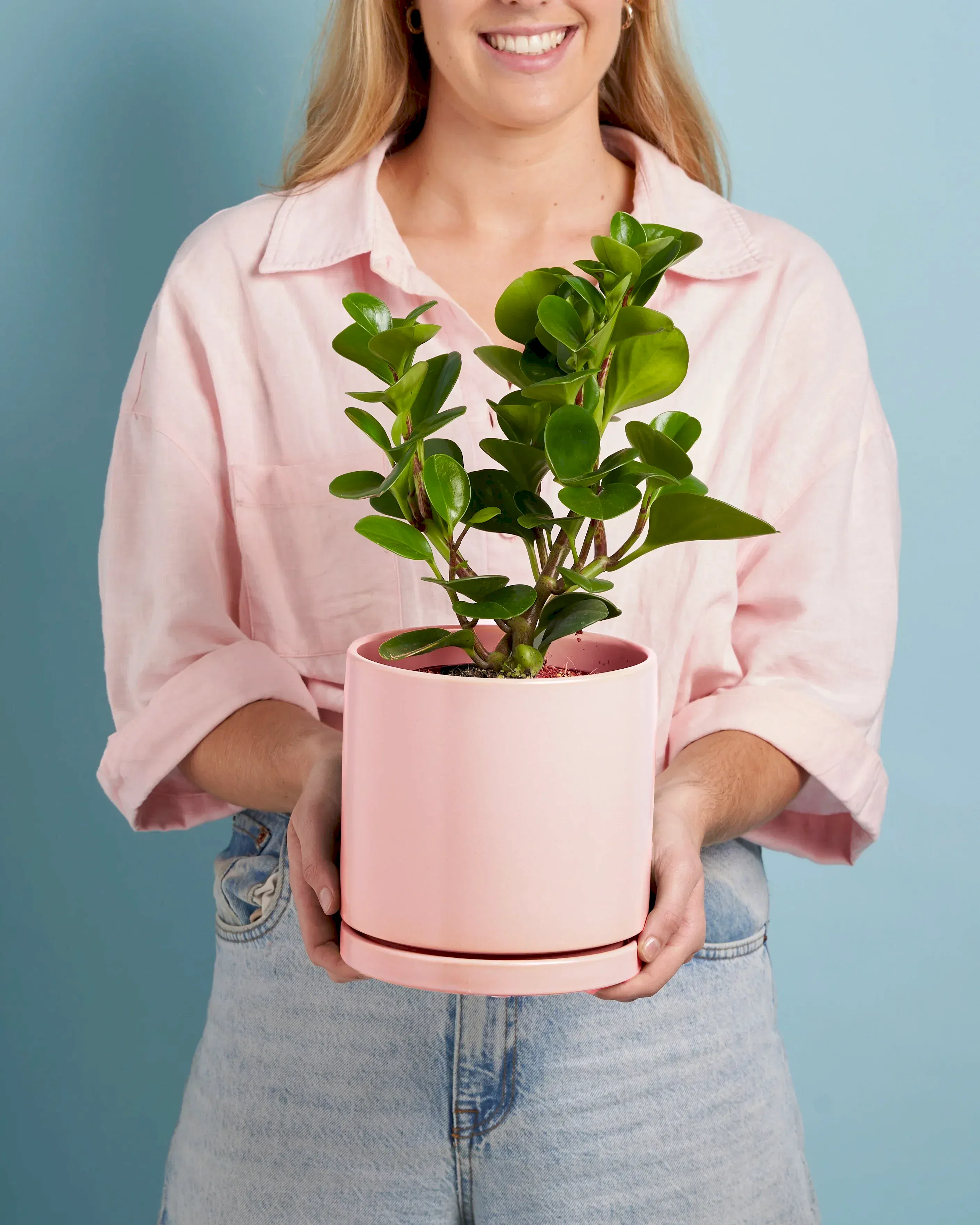 Plant + Pink Pot (SA - SOLD OUT)