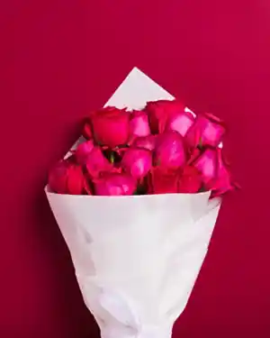 Champagne + Roses