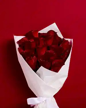 Champagne + Roses