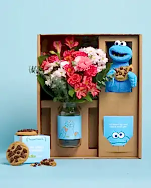 The Big Cookie Bundle