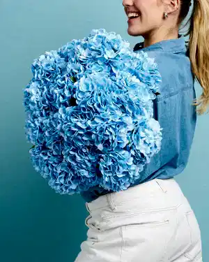 Unreal Blue Hydrangea