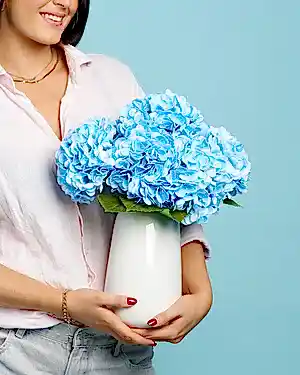 Unreal Blue Hydrangea