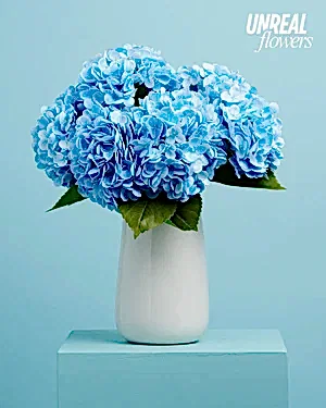Unreal Blue Hydrangea